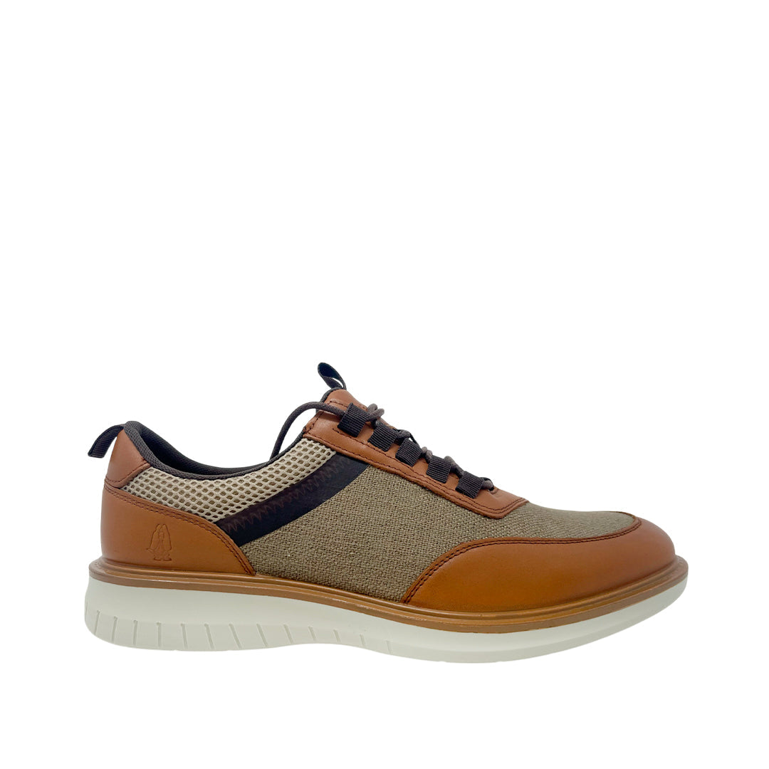 Casuales Oxford Scott para hombre color multi