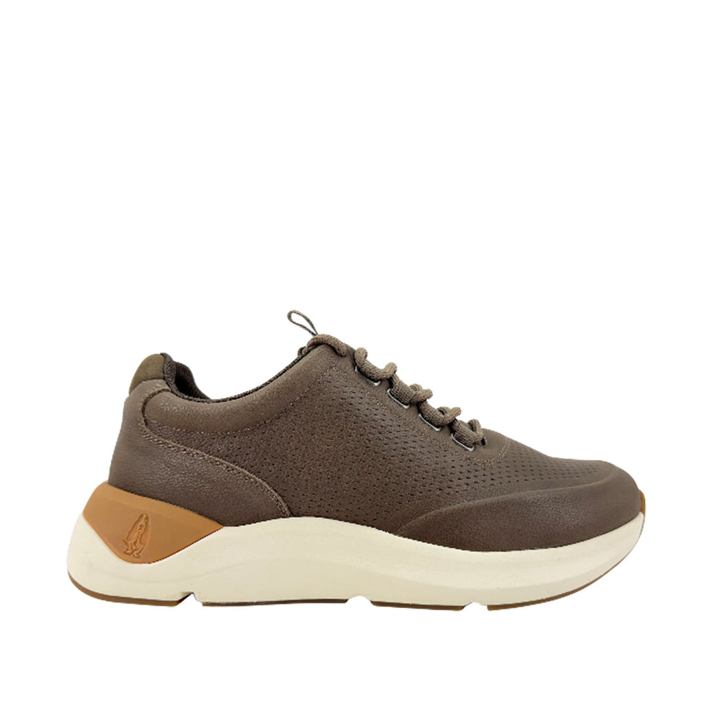 Tennis Warren Brogue para hombre color café