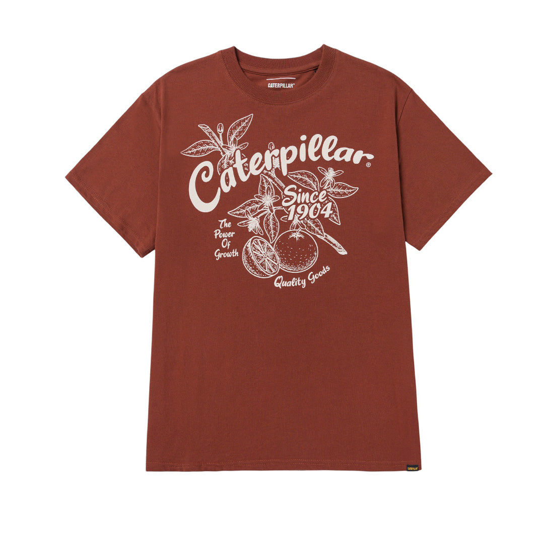 Camiseta Rib Collar para mujer color café